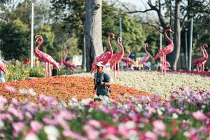 BIB: 
                            <button type="button" onclick="openModal(27344313)" class="btn btn-primary btn-sm float-right btn-popup" data-toggle="modal" data-target=".modal-high-quality">
                        <i class="fas fa-shopping-cart"></i> Add to Cart
                    </button>
                                            <button type="button" onclick="isThisMe(27344313, true)" class="btn btn-success btn-sm float-right btn-popup btn-isme hidden" data-toggle="tooltip" data-placement="bottom" title="นี่คือรูปของคุณใช่ไหม คลิกที่นี่เพื่อเอาเข้าอัลบั้ม">
                        <i class="fas fa-plus"></i> Add to album
                    </button>
                    <button type="button" onclick="isThisMe(27344313, false)" class="btn btn-warning btn-sm float-right btn-popup btn-isnotme hidden">
                        <i class="fas fa-ban"></i> Remove from album
                    </button>